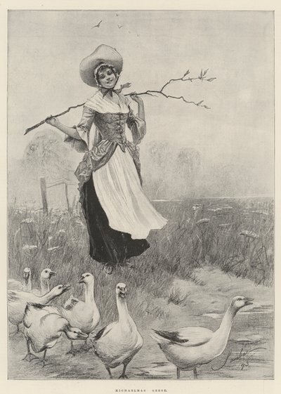 Gansos de San Miguel de Robert Sauber